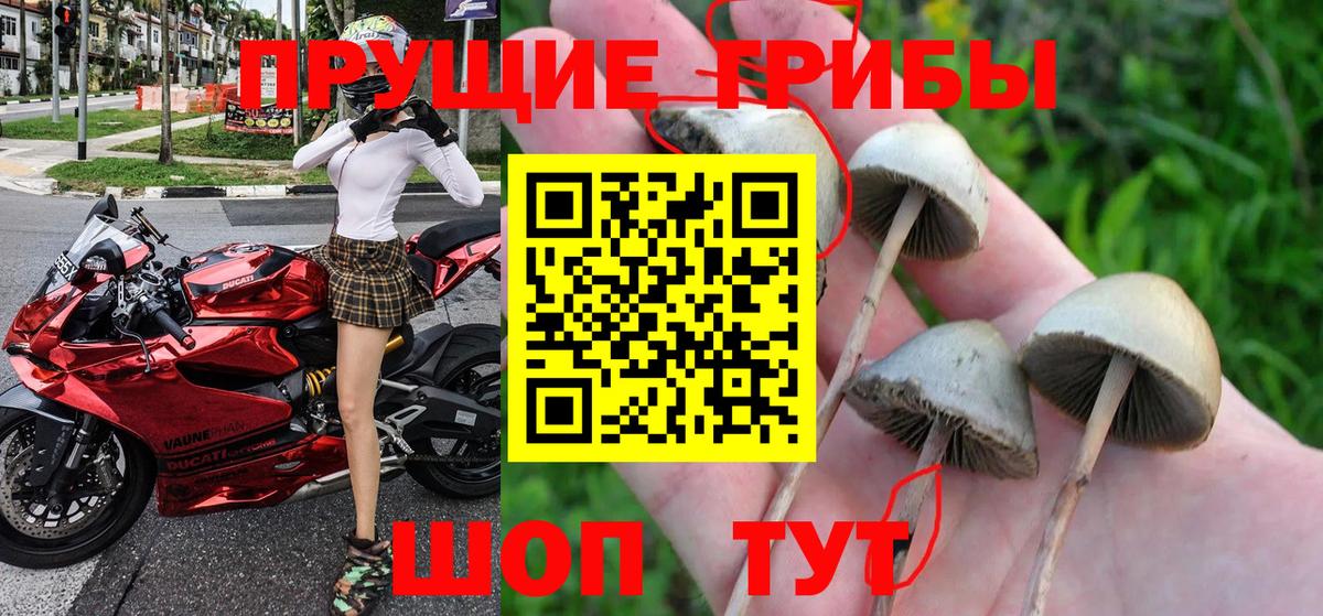Псилоцибиновые грибы Psilocybe  Галлюциногенные грибы Psilocybe  Вход с VPN  наркота  Набережные Челны 